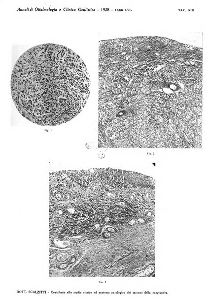 Annali di ottalmologia e clinica oculistica