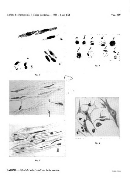 Annali di ottalmologia e clinica oculistica