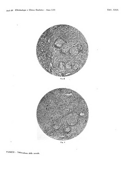 Annali di ottalmologia e clinica oculistica