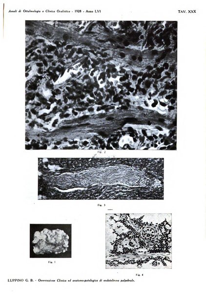 Annali di ottalmologia e clinica oculistica