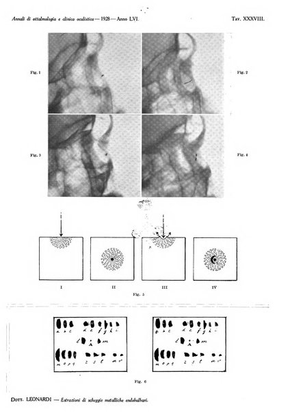 Annali di ottalmologia e clinica oculistica