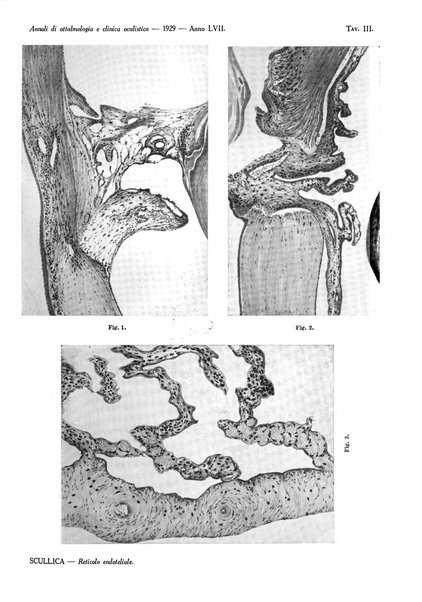 Annali di ottalmologia e clinica oculistica