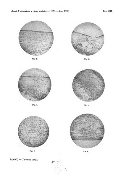 Annali di ottalmologia e clinica oculistica