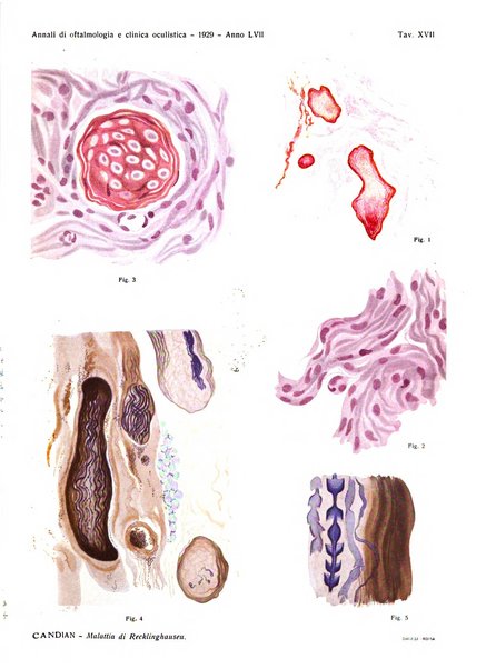 Annali di ottalmologia e clinica oculistica