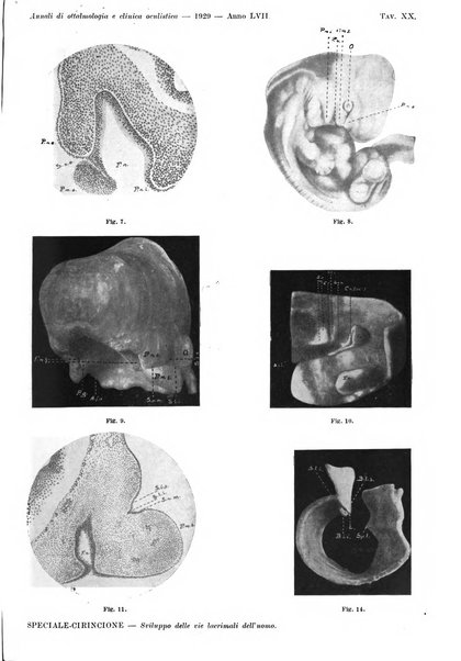 Annali di ottalmologia e clinica oculistica