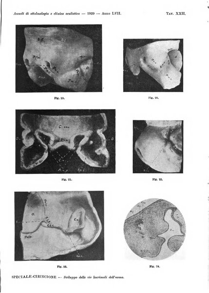 Annali di ottalmologia e clinica oculistica