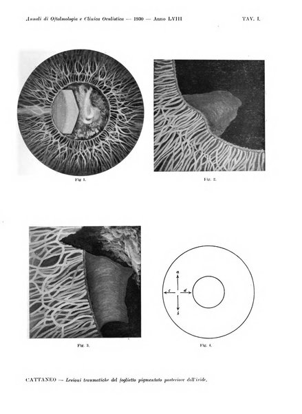 Annali di ottalmologia e clinica oculistica