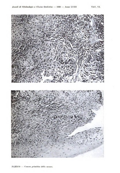 Annali di ottalmologia e clinica oculistica