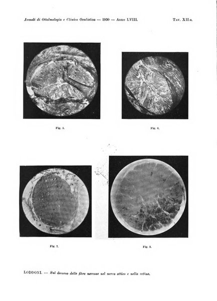 Annali di ottalmologia e clinica oculistica