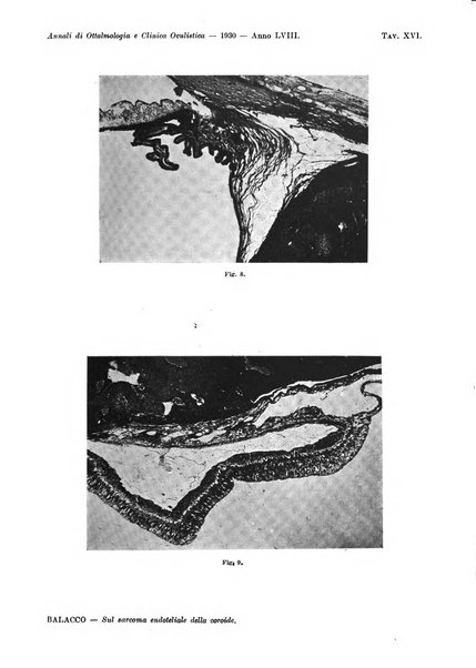 Annali di ottalmologia e clinica oculistica