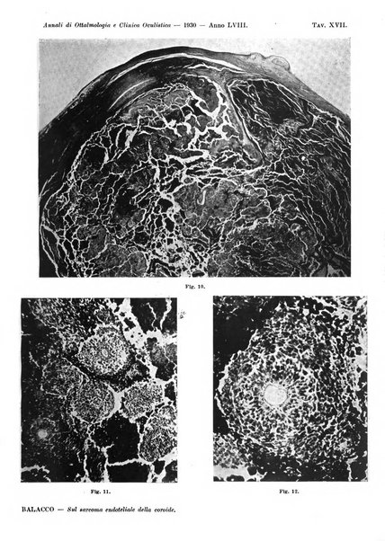 Annali di ottalmologia e clinica oculistica