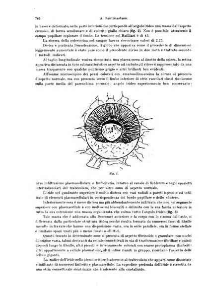 Annali di ottalmologia e clinica oculistica