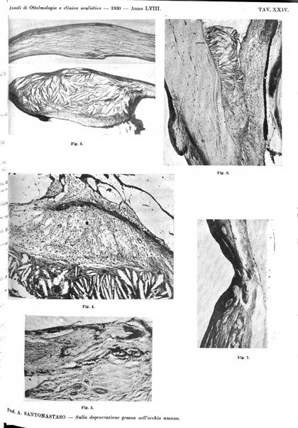 Annali di ottalmologia e clinica oculistica