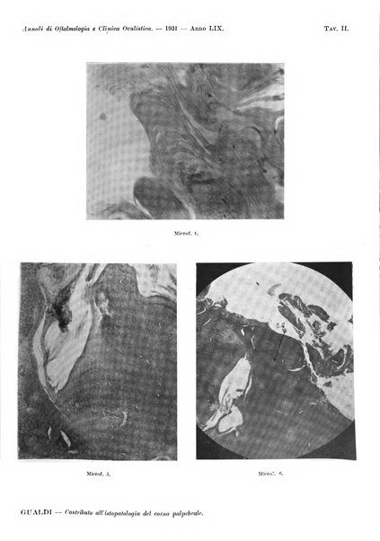 Annali di ottalmologia e clinica oculistica