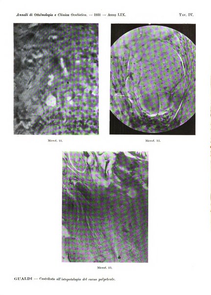 Annali di ottalmologia e clinica oculistica