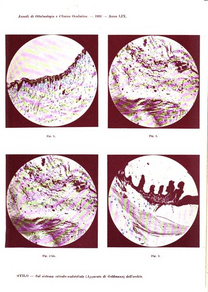 Annali di ottalmologia e clinica oculistica