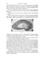 giornale/PUV0041464/1931/unico/00000774