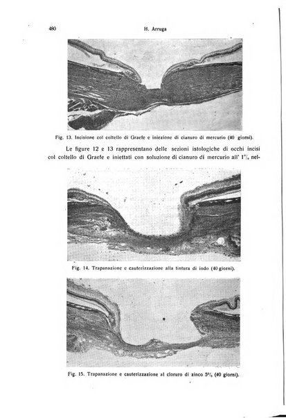 Annali di ottalmologia e clinica oculistica