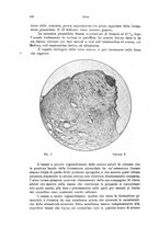 giornale/PUV0041464/1933/unico/00000460