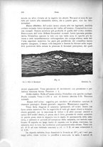 giornale/PUV0041464/1933/unico/00000466