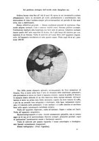 giornale/PUV0041464/1934/unico/00001013