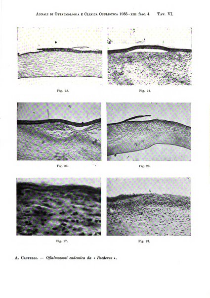 Annali di ottalmologia e clinica oculistica