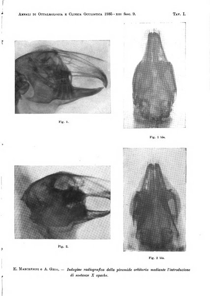 Annali di ottalmologia e clinica oculistica