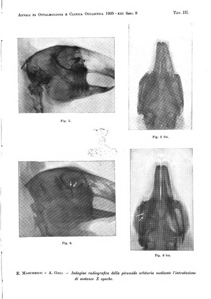 Annali di ottalmologia e clinica oculistica