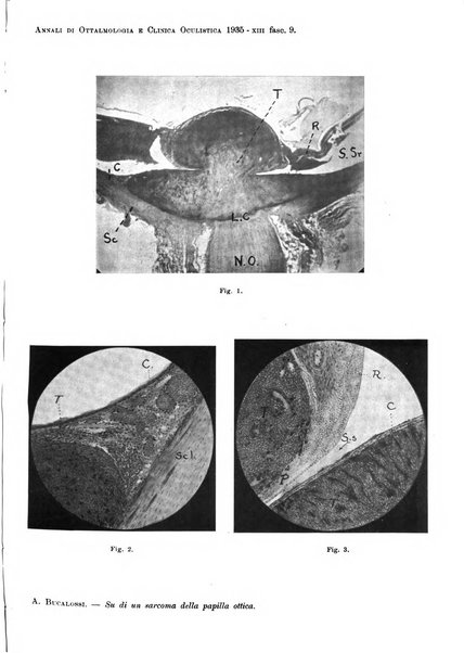 Annali di ottalmologia e clinica oculistica