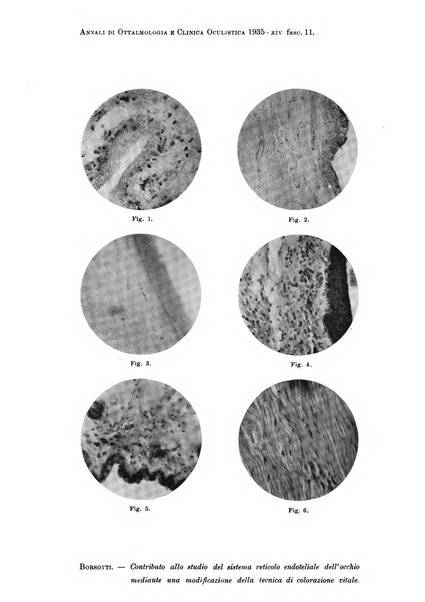 Annali di ottalmologia e clinica oculistica