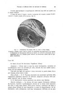 giornale/PUV0041464/1937/unico/00000053