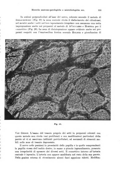 Annali di ottalmologia e clinica oculistica