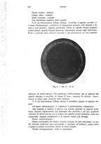 giornale/PUV0041464/1937/unico/00000294