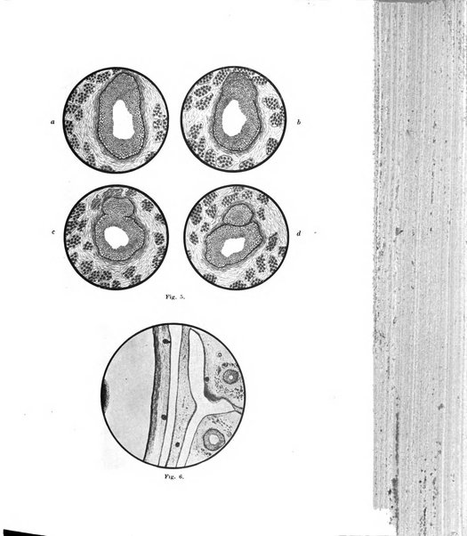 Annali di ottalmologia e clinica oculistica