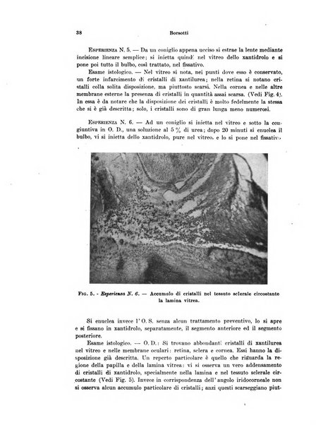 Annali di ottalmologia e clinica oculistica