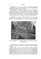 giornale/PUV0041464/1938/unico/00000044