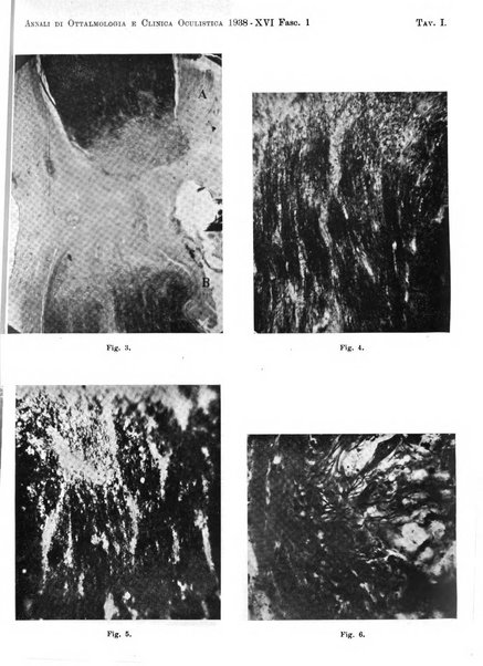 Annali di ottalmologia e clinica oculistica