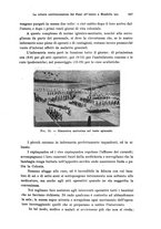 giornale/PUV0041464/1938/unico/00000245