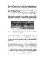 giornale/PUV0041464/1938/unico/00000598