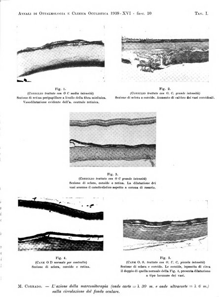 Annali di ottalmologia e clinica oculistica