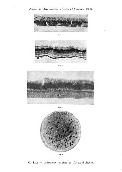 Annali di ottalmologia e clinica oculistica