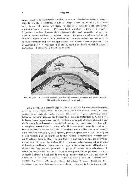 Annali di ottalmologia e clinica oculistica