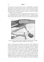 giornale/PUV0041464/1941/unico/00000020