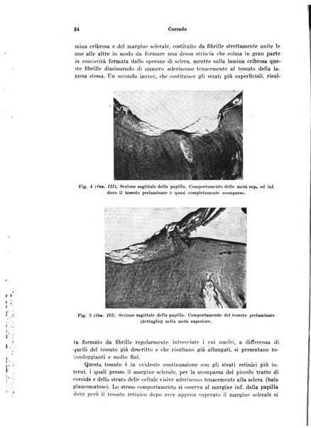 Annali di ottalmologia e clinica oculistica