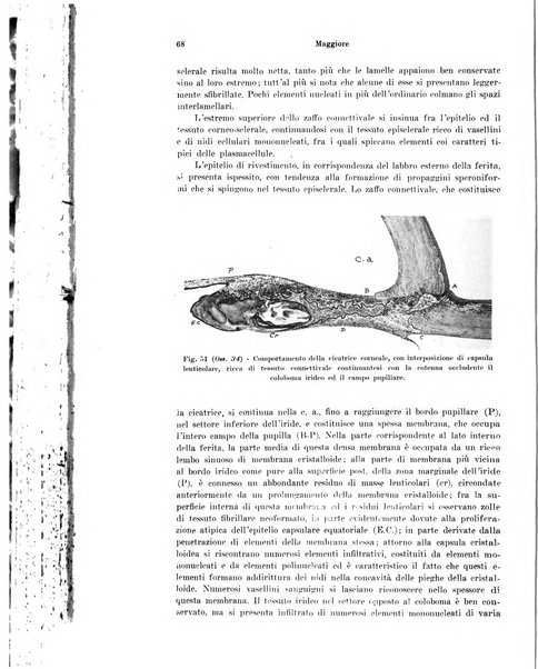 Annali di ottalmologia e clinica oculistica