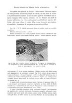 giornale/PUV0041464/1941/unico/00000091