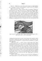 giornale/PUV0041464/1941/unico/00000094