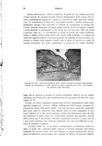 giornale/PUV0041464/1941/unico/00000096