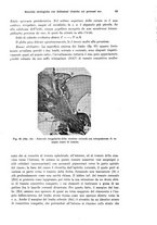 giornale/PUV0041464/1941/unico/00000101