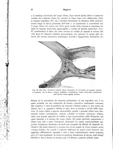 Annali di ottalmologia e clinica oculistica